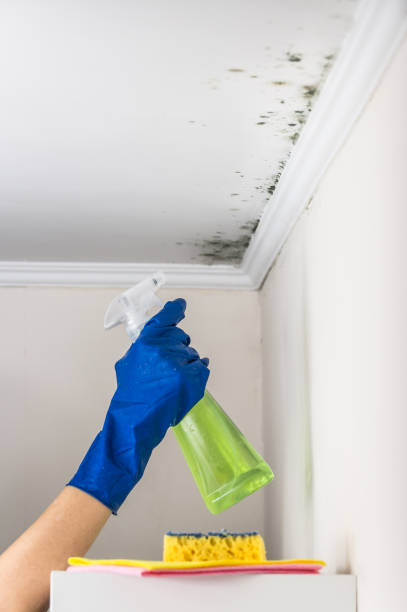 Best Mold Testing  in Hobart, IN