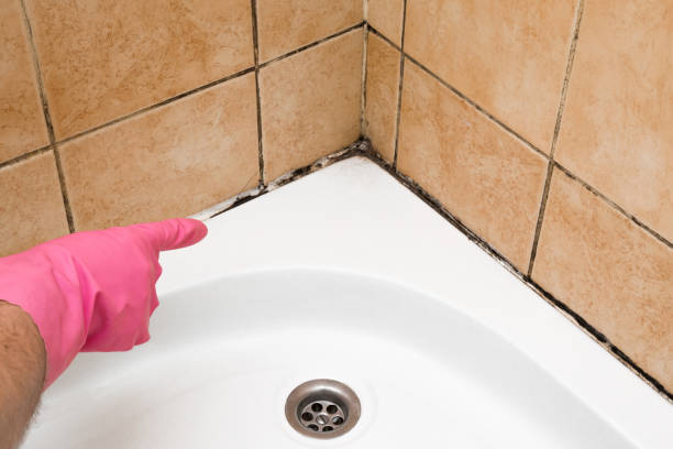 Best Crawl Space Mold Removal  in Hobart, IN